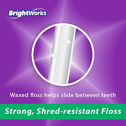 BrightWorks Dental Floss Mint Waxed - 100 Yards (Pack of 4)